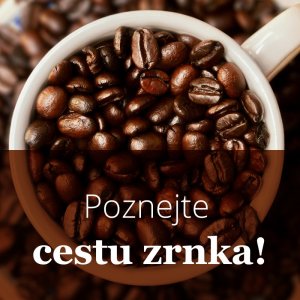 Tajemství kávy: jak vzniká dokonalý šálek – od pěstování po zpracování