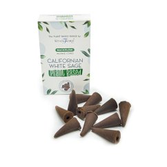 Rostlinné vonné kužely White sage