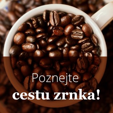 Tajemství kávy: jak vzniká dokonalý šálek – od pěstování po zpracování