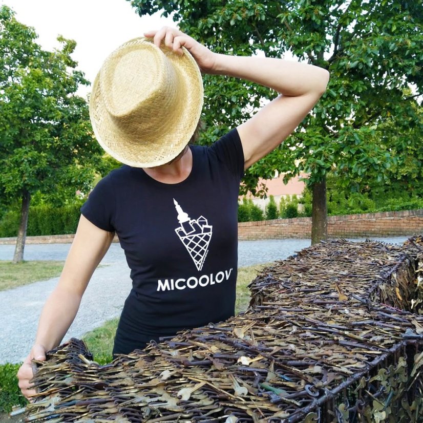 Černé dámské tričko Micoolov® L