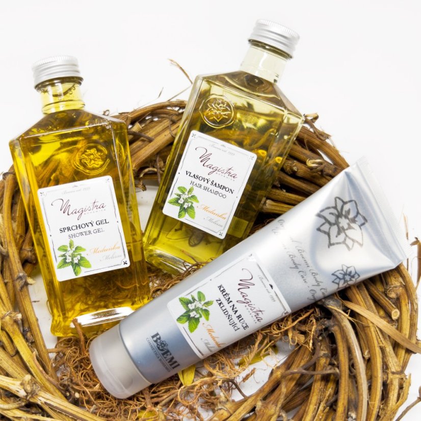 Velká kosmetická kazeta Magistra Meduňka