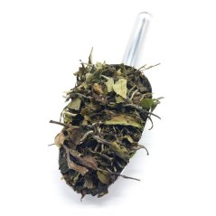 Bílý čaj Pai Mu Tan (Bílá pivoňka)