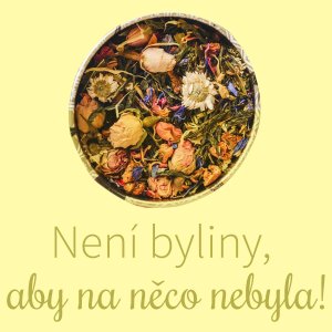 Bylinné čaje a jejich přínos – trocha historie a tipy na přípravu
