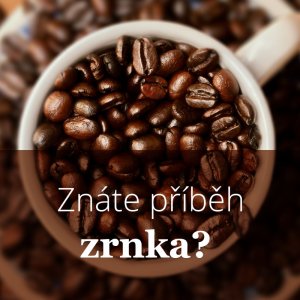 Tajemství kávy: jak vzniká dokonalý šálek – od pěstování po zpracování