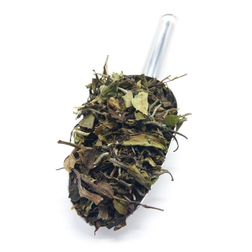 Bílý čaj Pai Mu Tan (Bílá pivoňka)