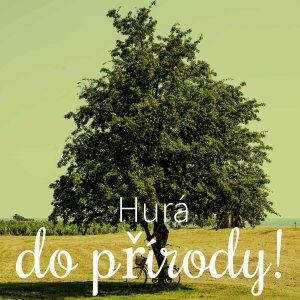Proč je příroda důležitá, historie její ochrany a jak si užít Pálavu v pár dnech