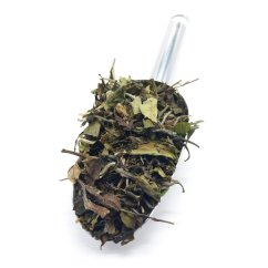 Bílý čaj Pai Mu Tan (Bílá pivoňka)